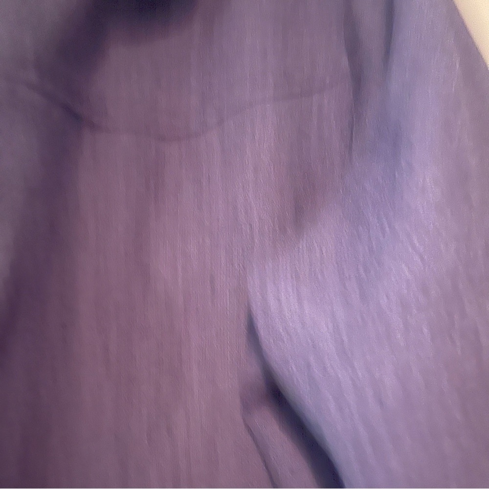 Drapers & Damon’s purple Blazer, 1X, UGC - Picture 5 of 10